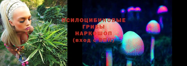 ешки Алексин