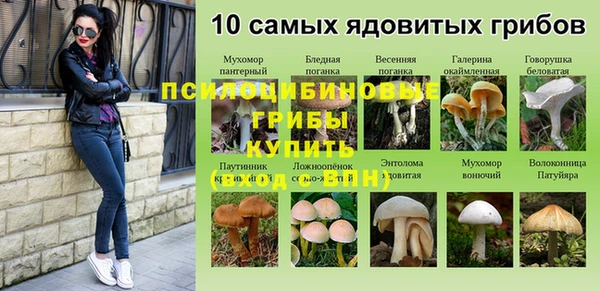 соль курить ск Алзамай