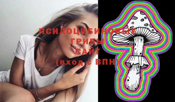 ешки Алексин