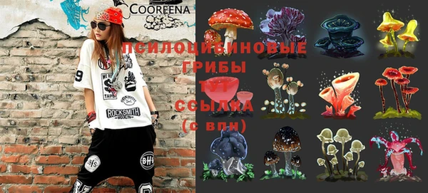 ешки Алексин