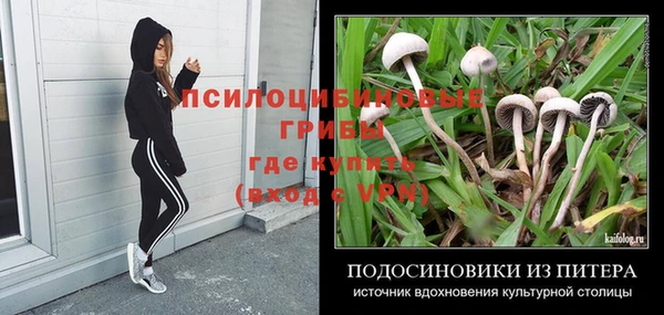 ешки Алексин