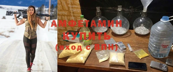 гидра Алексеевка
