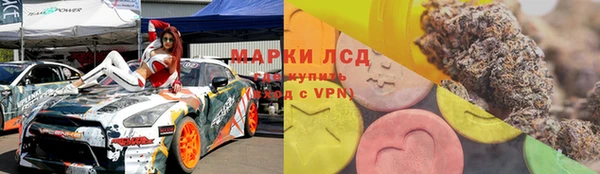гидра Алексеевка